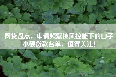 网贷盘点，申请频繁被风控能下的口子小额贷款名单，值得关注！