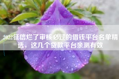 2022征信烂了审核必过的借钱平台名单精选，这几个贷款平台亲测有效