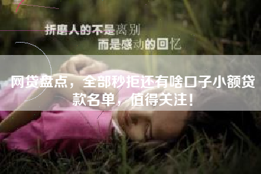 网贷盘点，全部秒拒还有啥口子小额贷款名单，值得关注！