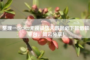 整理一份2022无视征信大数据必下款借款平台，简云分享！