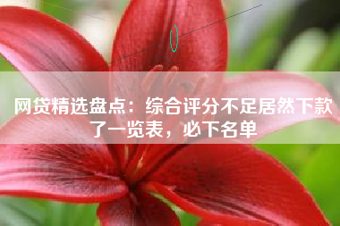 网贷精选盘点：综合评分不足居然下款了一览表，必下名单