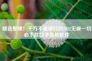 精选整理！千万不能错过的2022无视一切必下款口子借款软件