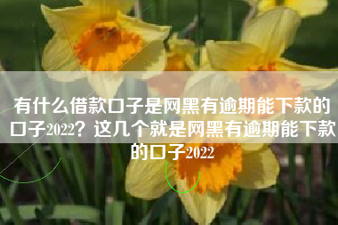 有什么借款口子是网黑有逾期能下款的口子2022？这几个就是网黑有逾期能下款的口子2022