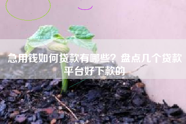 急用钱如何贷款有哪些？盘点几个贷款平台好下款的