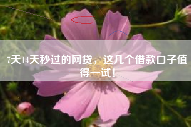 7天14天秒过的网贷，这几个借款口子值得一试！