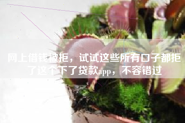 网上借钱被拒，试试这些所有口子都拒了这个下了贷款app，不容错过