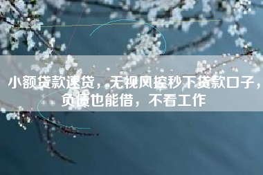 小额贷款速贷，无视风控秒下贷款口子，负债也能借，不看工作