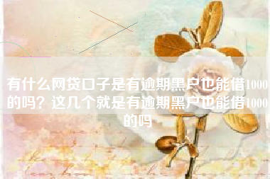 有什么网贷口子是有逾期黑户也能借1000的吗？这几个就是有逾期黑户也能借1000的吗