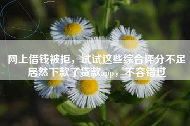 网上借钱被拒，试试这些综合评分不足居然下款了贷款app，不容错过