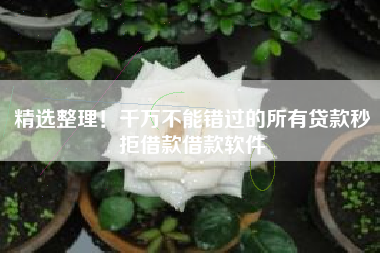 精选整理！千万不能错过的所有贷款秒拒借款借款软件