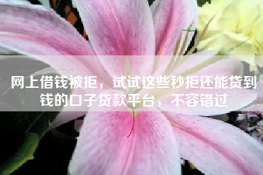 网上借钱被拒，试试这些秒拒还能贷到钱的口子贷款平台，不容错过
