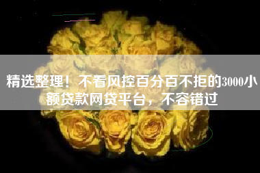 精选整理！不看风控百分百不拒的3000小额贷款网贷平台，不容错过