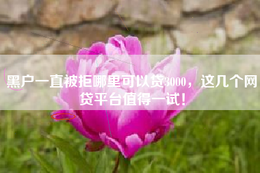 黑户一直被拒哪里可以贷3000，这几个网贷平台值得一试！