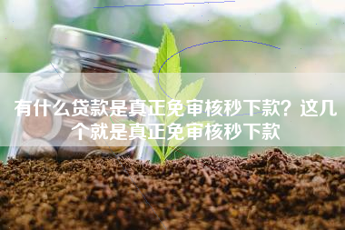 有什么贷款是真正免审核秒下款？这几个就是真正免审核秒下款