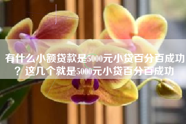 有什么小额贷款是5000元小贷百分百成功？这几个就是5000元小贷百分百成功