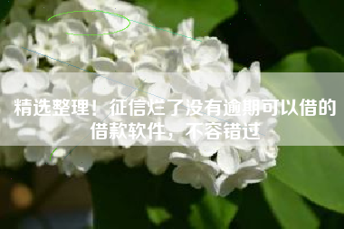 精选整理！征信烂了没有逾期可以借的借款软件，不容错过