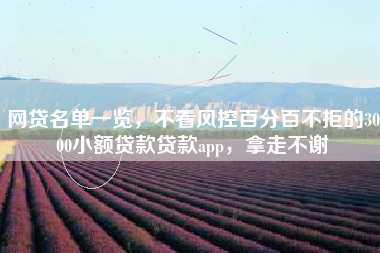 网贷名单一览，不看风控百分百不拒的3000小额贷款贷款app，拿走不谢