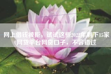 网上借钱被拒，试试这些2022年剩下15家网贷平台网贷口子，不容错过