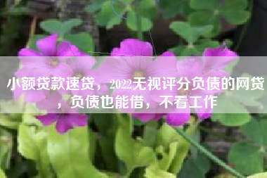 小额贷款速贷，2022无视评分负债的网贷，负债也能借，不看工作
