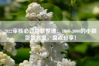 2022审核必过贷款整理：1000-3000的小额贷款名单，盘点分享！