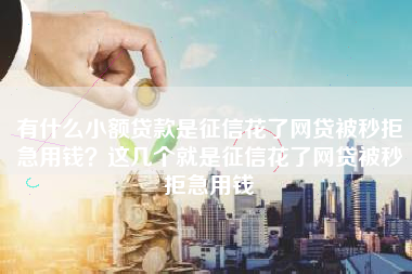有什么小额贷款是征信花了网贷被秒拒急用钱？这几个就是征信花了网贷被秒拒急用钱