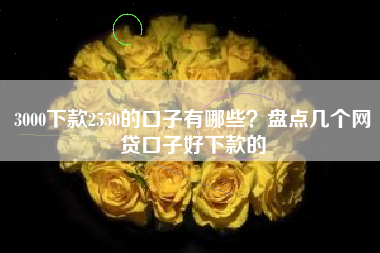 3000下款2550的口子有哪些？盘点几个网贷口子好下款的