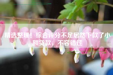 精选整理！综合评分不足居然下款了小额贷款，不容错过