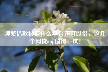 频繁借款被拒什么平台还可以借，这几个网贷app值得一试！