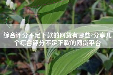 综合评分不足下款的网贷有哪些?分享几个综合评分不足下款的网贷平台