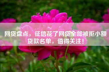网贷盘点，征信花了网贷全部被拒小额贷款名单，值得关注！