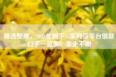 精选整理，2022年剩下15家网贷平台借款口子一览表，拿走不谢