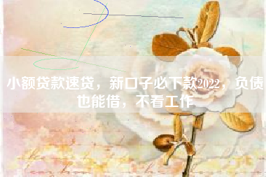 小额贷款速贷，新口子必下款2022，负债也能借，不看工作