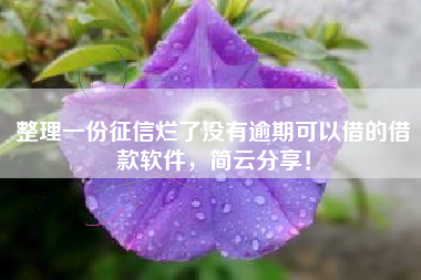整理一份征信烂了没有逾期可以借的借款软件，简云分享！