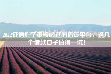 2022征信烂了审核必过的借钱平台，这几个借款口子值得一试！