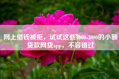 网上借钱被拒，试试这些1000-3000的小额贷款网贷app，不容错过