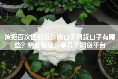 被拒百次还能贷款的口子网贷口子有哪些？精选整理分享几个网贷平台