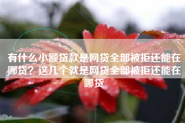 有什么小额贷款是网贷全部被拒还能在哪贷？这几个就是网贷全部被拒还能在哪贷