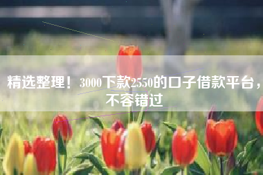 精选整理！3000下款2550的口子借款平台，不容错过