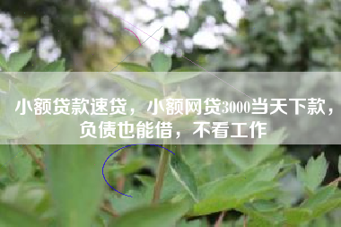 小额贷款速贷，小额网贷3000当天下款，负债也能借，不看工作