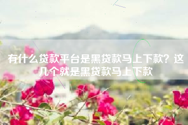 有什么贷款平台是黑贷款马上下款？这几个就是黑贷款马上下款