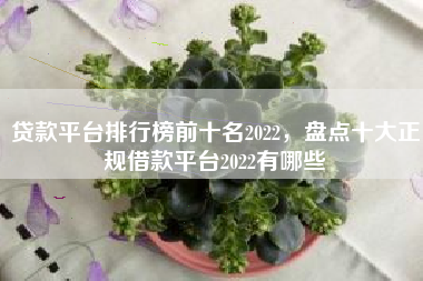 贷款平台排行榜前十名2022，盘点十大正规借款平台2022有哪些