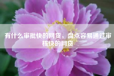 有什么审批快的网贷，盘点容易通过审核快的网贷