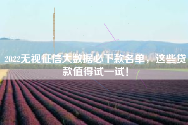 2022无视征信大数据必下款名单，这些贷款值得试一试！
