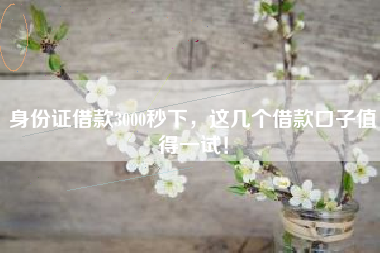 身份证借款3000秒下，这几个借款口子值得一试！
