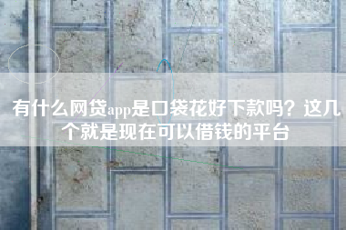 有什么网贷app是口袋花好下款吗？这几个就是现在可以借钱的平台