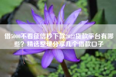 借5000不看征信秒下款2022贷款平台有哪些？精选整理分享几个借款口子