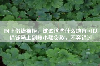 网上借钱被拒，试试这些什么地方可以借钱马上到账小额贷款，不容错过