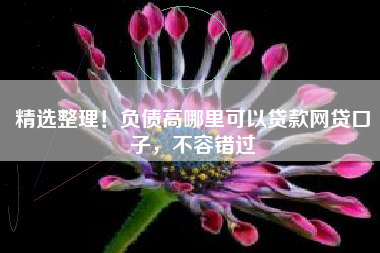 精选整理！负债高哪里可以贷款网贷口子，不容错过