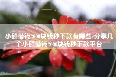 小额借钱2000块钱秒下款有哪些?分享几个小额借钱2000块钱秒下款平台