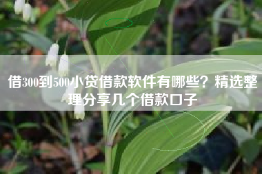 借300到500小贷借款软件有哪些？精选整理分享几个借款口子